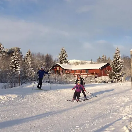 Domek letniskowy Hytter Beitostolen